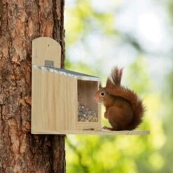 AniOne Eichhörnchen Futterspender -VERSELE-LAGA Verkäufe a7d05daa79174a539062e88ae3dab404e6f4e0be 1272033 de DE AniOne 3