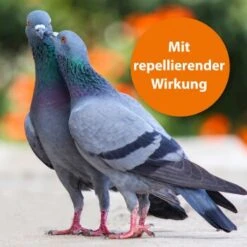 Ardap Spot-On Für Ziervögel & Brieftauben -VERSELE-LAGA Verkäufe ae58a2b8111f99b0d5f141011cb4d5292b63d3c9 1227326 de DE 177446f52341c8e701898dbab4eaebf3cf8dbc70uMQM7k