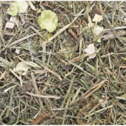 VERSELE-LAGA Verkäufe -VERSELE-LAGA Verkäufe b60593a62c606301057a98808089b8cdf77e85e8 641493832fc20e5fb3e9162c6c0cee5fd8c04a2a