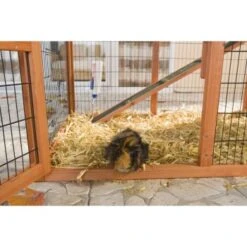 Trixie Nagerstall Natura Mit Auslauf -VERSELE-LAGA Verkäufe ba3a0bf8ca9f170c93bb20d8b9a1c996fc62f60a 018fa5b7bc6a586c5b399fb3273b0bd2829eee6a