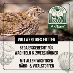 Aniforte FarmLife Wachtel Futter Müsli 5 Kg 12 Aniforte FarmLife Wachtel Futter Müsli 5 Kg -VERSELE-LAGA Verkäufe bacb485441ba39b2a7c82beafff34de0223a2b69 1496424 de DE b7f0b87a7c416031b71c91845a0d8a62a679156cqPxdAd