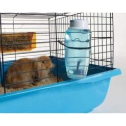 Savic Trinkflasche Source 300 Ml -VERSELE-LAGA Verkäufe bf715cf9bf40f48bf8ff329090400df78509b41a 9b337ed2937801349f27dcf1bb0ee66e979c5a5f