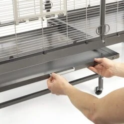 Montana Cages Voliere Paradiso 150 Hellgrau/ Dunkelgrau 11 Montana Cages Voliere Paradiso 150 Hellgrau/ Dunkelgrau -VERSELE-LAGA Verkäufe cff8935c3d42b5f1afc2a2b9b04835d436e40235 1330426 de DE e8d83e5dd901aa0fdc571bf479d1c2e553b74a95Qcbq2F