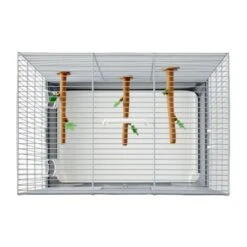 Savic Vogeltransportbox Primo 40 9 Savic Vogeltransportbox Primo 40 -VERSELE-LAGA Verkäufe d0137ead5389abc3a8c42310a827c524b766fe1e e82c8aed5381bd8b3950178b79f9bf677032da65