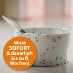 Ardap Ameisenspray 400ml -VERSELE-LAGA Verkäufe d117738bc5fe07d0241a8376c10d3be5ea924b83 1235783 de DE ad3ff966e955f94d994e6f03e08a4b31f7193b61CygU1n