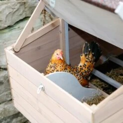 Kerbl Hühnerstall Bonny 15 Kerbl Hühnerstall Bonny -VERSELE-LAGA Verkäufe d13f3e0703713d8c0cd7f7e04dcd0a1e19fb101c 8786a24a36690dbacccf0a01bf253c2b0753c23e