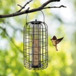 AniOne Futterschutzsäule Für Meisenknödel 5 AniOne Futterschutzsäule Für Meisenknödel -VERSELE-LAGA Verkäufe d24c1eb6e84afb78f922a8e0c417a888be60b1fd 1276571 de DE kn del 1