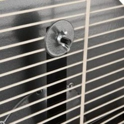 Wagner Montana Cages Metall-Laufrad Ø 38cm -VERSELE-LAGA Verkäufe d617bd4dfbc1724778c20b1c5755c0a1ef592d48 1484280 de DE 05a82c0dc36325300cf7e58e8159a2a6bf92c5f4CacJUu