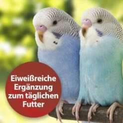 Quiko Bierhefe 400g: Eiweißreiche Ergänzung Zum Täglichen Futter Für Ziervögel -VERSELE-LAGA Verkäufe dbea3a9534bfd87d9c3612a707b4b2a72d3b88e8 1386526 de DE 81b3ddf78d2ba1575bc8dd1b556a4d784786c157kjWBy7