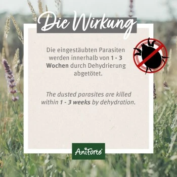 Aniforte Milben STOP Kieselgur Inkl. Stäuberflasche 2kg 5 Aniforte Milben STOP Kieselgur Inkl. Stäuberflasche 2kg – Bild 3