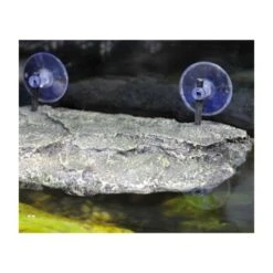 Lucky Reptile Turtle Island II M 7 Lucky Reptile Turtle Island II M -VERSELE-LAGA Verkäufe e1810f89c1e9f7b8843efef503f104a993d9f22a ca14fa4ac960549c7f5e2a2f8bf7c187cc3c148c