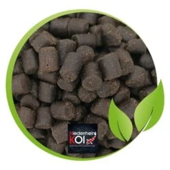 KENKOU Premium Stör 5 Kg -VERSELE-LAGA Verkäufe e2122550d002f82177c3e156e8d29f4bf1bba441 1497026 de DE cd158c6370ecf86bbd3a2e4d17f29d525c4f8c4dclDyYR