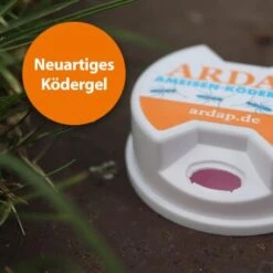 Ardap Ameisen Köderdose 3er Pack -VERSELE-LAGA Verkäufe e2473313d70fa49efe99856c2b9285dc0230e443 1385164 de DE 69e54b3f21634f443984403d2c50b2bef669012eaLGV3a