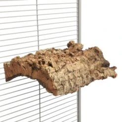 HappyBird Kork Sitzbrett XL -VERSELE-LAGA Verkäufe e8b2950c642c9ef016f80c28713a09942915f413 1416847 de DE 4626cf9388aa22b7467d5746315ee5f44c7b4ddbETGHf6