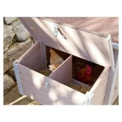 Kerbl Hühnerstall Emma -VERSELE-LAGA Verkäufe e983a0e31b516f7fc42898127f95c461f948be99 bb4d24fe8aa40ced2664bab715e28c3226a13326