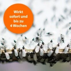 Ardap Ungeziefer Zerstäuber 500ml -VERSELE-LAGA Verkäufe e9bc5258bd9e8c61a455e4801bb5345a2c3d41d8 1662517 de DE 8a18f9e800e4f1a598953e1bc5c410fd9e96c1e61UAUj5