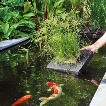 Velda Floating Plant Island Eckig 35 Cm 4 Velda Floating Plant Island Eckig 35 Cm – Bild 2