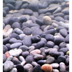 Silbermann Dark Gravel 5 Kg -VERSELE-LAGA Verkäufe ede8e230cffe83c3fca7cc16420e893eef11b3ec 1490266 de DE 2a7b80b3ac68f4a07bbbeb9a94431a204038e265EKZHt1
