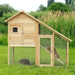 Lionto Kleintierstall, 140x65x119cm -VERSELE-LAGA Verkäufe ef53431a8affe2f06f5deba84366a8a089439e55 1498011 de DE bf40166c7b5aa44796eb2ab9af483bec9214edc8qz1Z0r