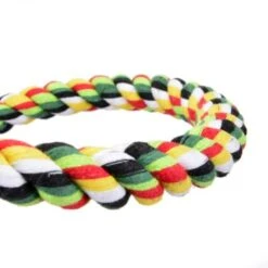 HappyBird Baumwollspirale Cotton Curl -VERSELE-LAGA Verkäufe ef9fa46dbf2812dad6b2499107087f5dc84053ef 1102358 de DE 43fad84b3b6f3eabc9b58772a1957ed576894bf62EouCk