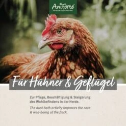 Aniforte Staubbad Für Hühner 10kg 12 Aniforte Staubbad Für Hühner 10kg -VERSELE-LAGA Verkäufe f0828d691afac1ceb41f50168d32fa2f51ee0434 1489435 de DE 8b05b5ef060d964b4334a984d71ab6a4b68e4e0em7n27D