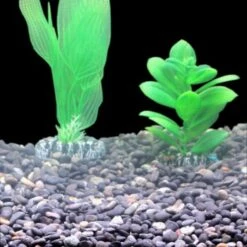 Silbermann Dark Gravel 5 Kg -VERSELE-LAGA Verkäufe ff1094e95dae4f2b4a17de06744297fd7ecdbcef 1490266 de DE 8b44a4fbef1605f539c0ebb3a538a091cec3dbadmMXnlK